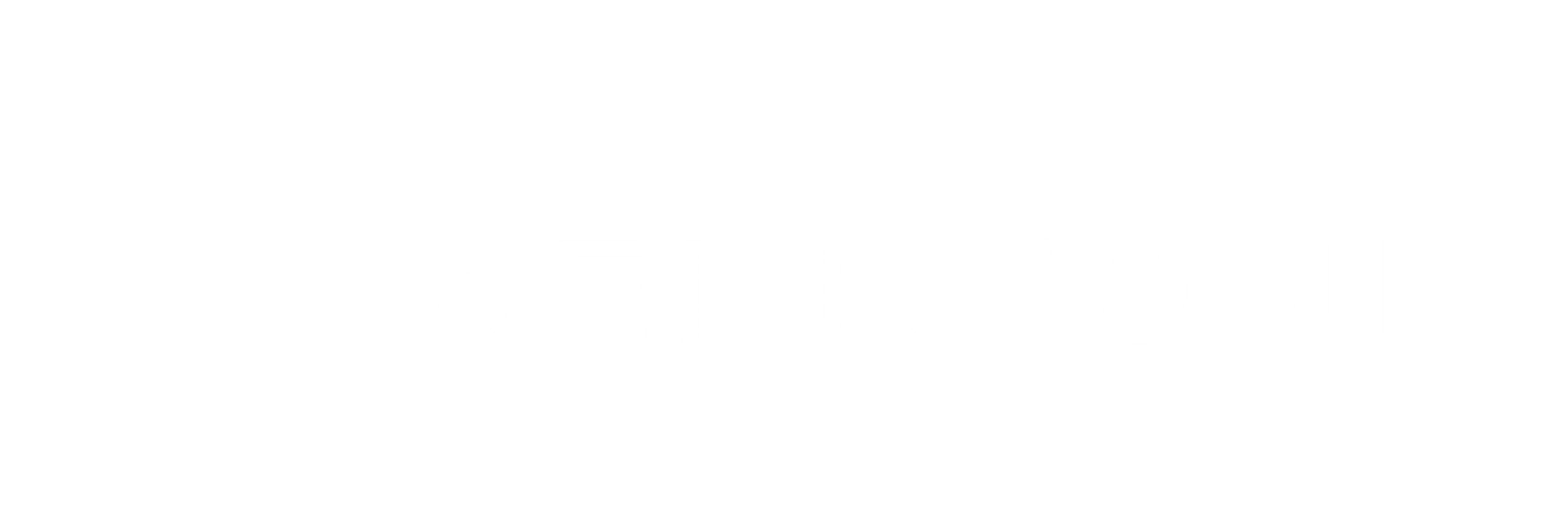 XenkZone Logo